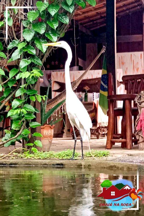 Pousada Chale Na Roca Penedo エクステリア 写真
