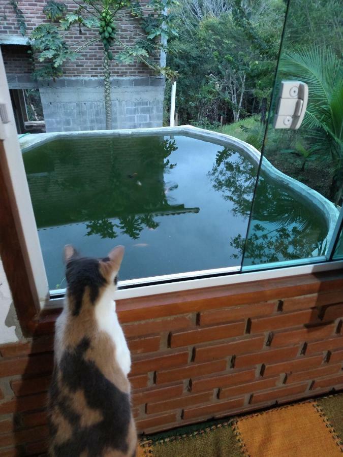 Pousada Chale Na Roca Penedo エクステリア 写真
